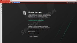 Как открыть приватное окно в браузере Vivaldi