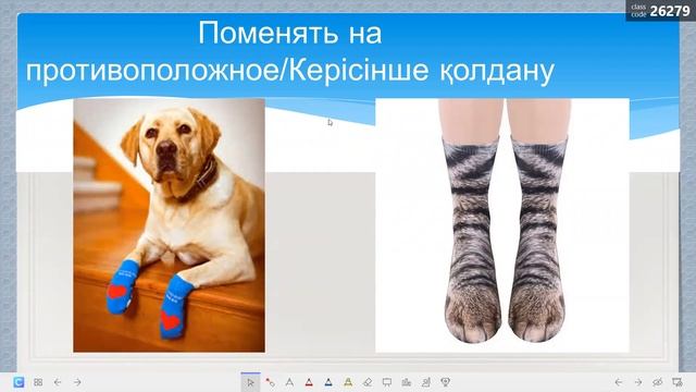 Цель и задачи создания бизнес-плана
