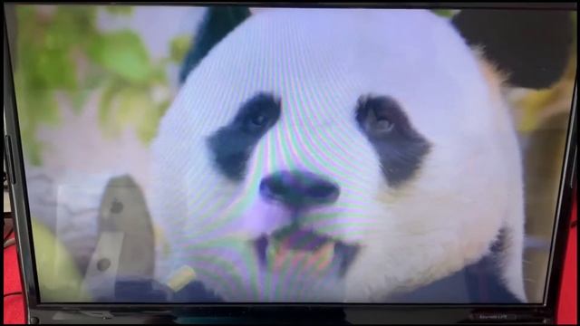 Packard Bell EasyNote LJ75 Test 2022 смотреть онлайн