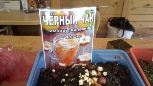 АБХАЗИЯ. ЦЕНЫ НА СПЕЦИИ, ПРИПРАВЫ,ЧАЙ, АДЖИКУ, ТКЕМАЛИ, ЧУРЧХЕЛУ, ДЖЕМЫ, ВИНО. Сколько стоят.Тутси.