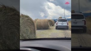 Распродажа сена, налетай.