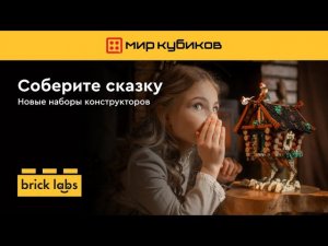 Связанные истории: новая серия конструкторов от Brick Labs