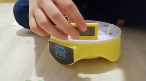 Электронный термометр для инкубатора с показателем влажности с AliExpress.