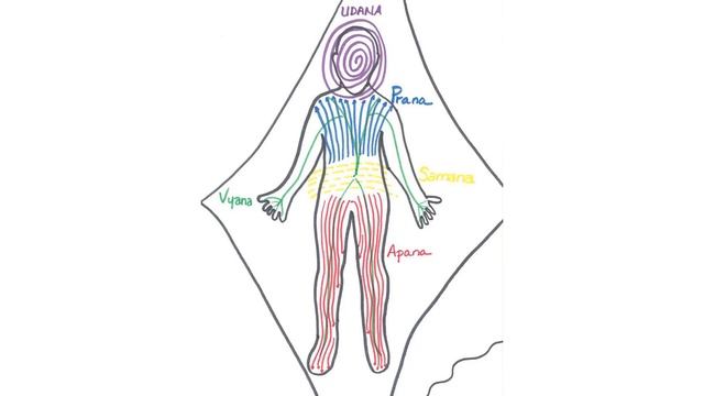 ? Kundalini Class. Урок №24. Пранамайя-коша. Строение. Прана вайю.