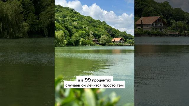 Страх - иллюзия. Как из любого страха сделать победу смотреть онлайн