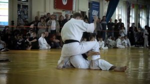 джиу-джитсу 2013