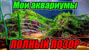 Обзор разводни аквариумных рыб и растений! ЭТО ПОЛНЫЙ ПОЗОР!