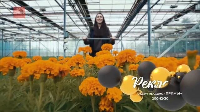 Все заставки Примы до и после рекламы во время 'Вечернего канала'' с 2020 г.