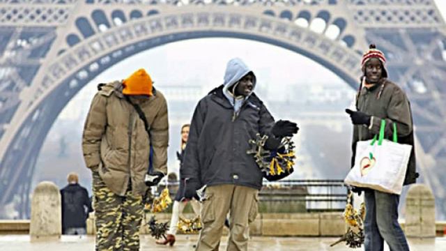 Вопрос для умных. Толерантность смотреть онлайн