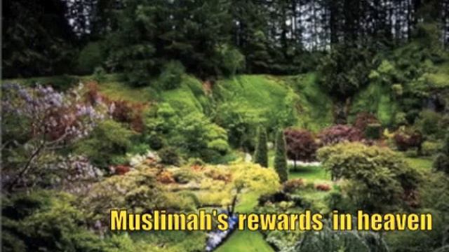 14 The rewards of Muslim women in paradise P4 4 Yahya Ibrahim смотреть онлайн