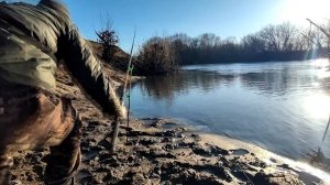 Налимы один за одним 2023 апрель #налим #налимнадонку