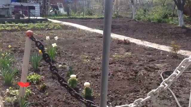 Погодка сегодня прекрасная 🏡 смотреть онлайн