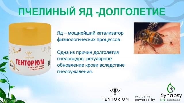 Принципы формирования программ оздоровления Тенториум смотреть онлайн