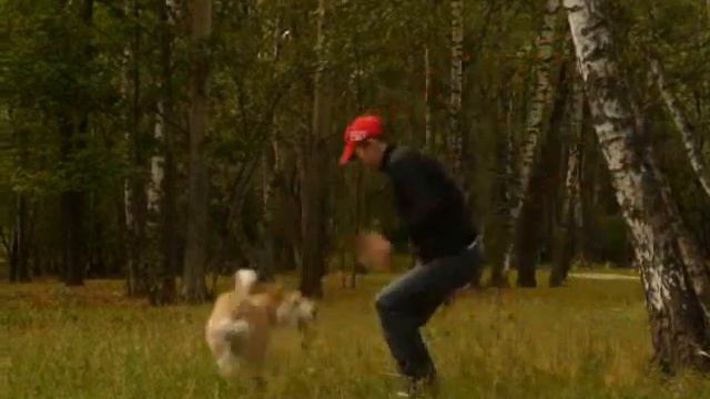 Приручение Пантеры:) смотреть онлайн