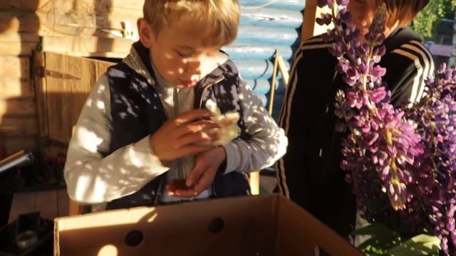 НАЧАЛОСЬ! ИСПРАВЛЯЕМ ОШИБКИ ПРОШЛОГО ГОДА! смотреть онлайн