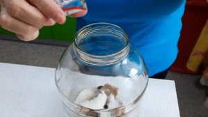 КВАС из свеклы Старые рецепты .Квас за сутки