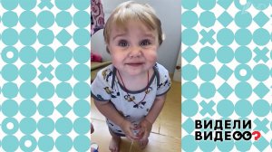 Девочка объела кошку. Видели видео? Фрагмент выпуска от 15.10.2022