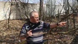 Стреляем с пневматических винтовок IBON, VL-12 и с PCP пистолета Искра