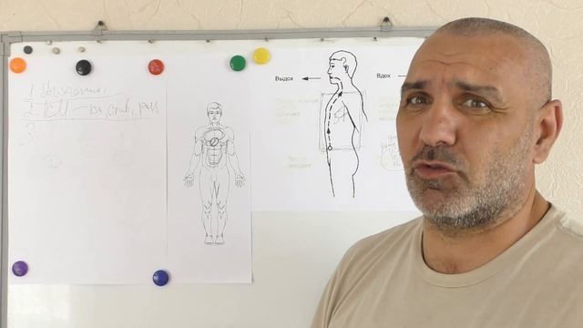 Что Распространяет КИ и ЦИ по нашему организму смотреть онлайн