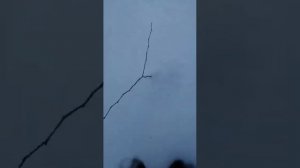 снегоход Икар. лифан 20.