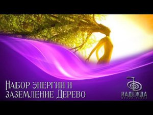Медитация Набор энергии и Заземление «ДЕРЕВО»