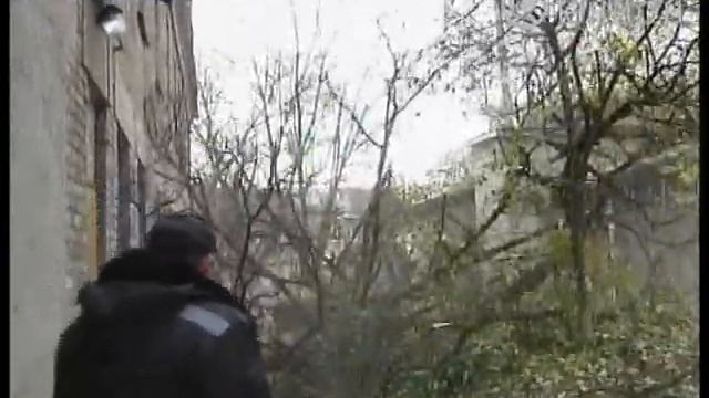 Сухостой смотреть онлайн