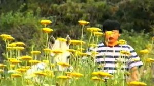 Toshpo'lat Matkarimov Tulpor Узбекская Музыка