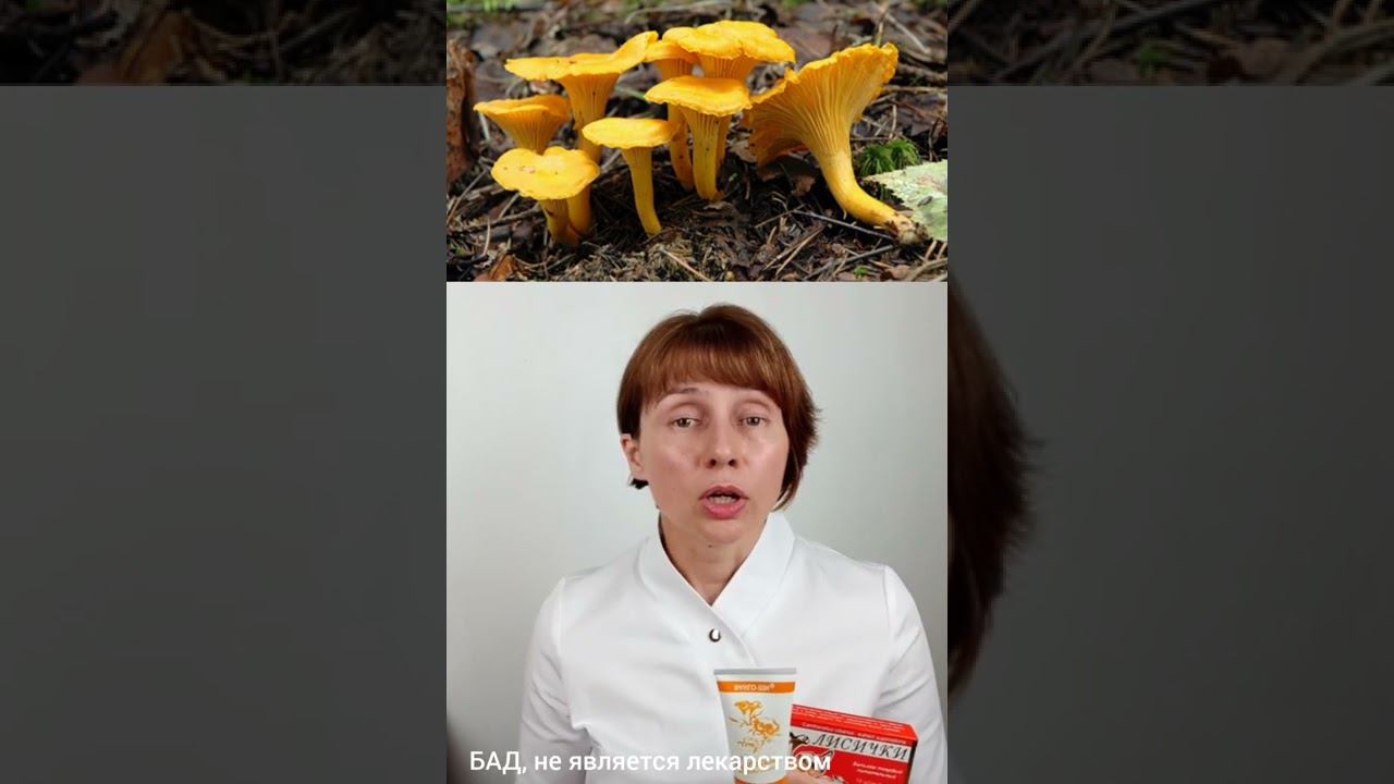 Грибы Лисички Доктор Лисенкова #shorts