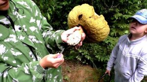 НАШЛИ ОГРОМНЫЙ БЕЛЫЙ ГРИБ в подмосковье. Кладоискатель Руся.