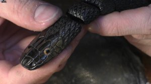 Превращаем дешевый эбонит в дорогой с помощъю бор машинки