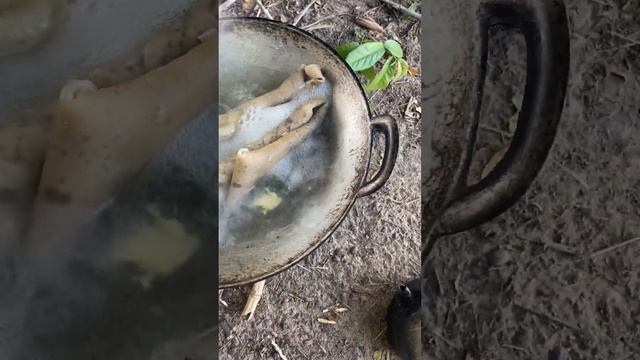 wow boiled cow's skin for eating #countryside #fishing #primitiveliffe #ricedish #fish #primitive