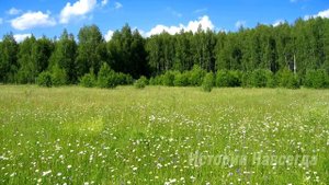 Бывший жених и лучшая подруга решили унизить Вику, пригласив на свою свадьбу, а увидев…