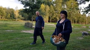 Черничный рай . Песня от подписчика