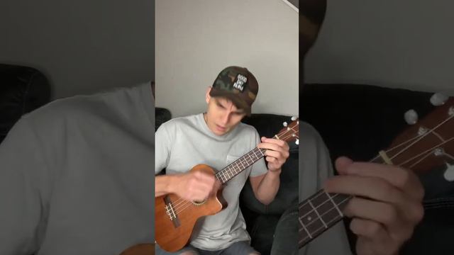 About Damn Time Lizzo Ukulele cover