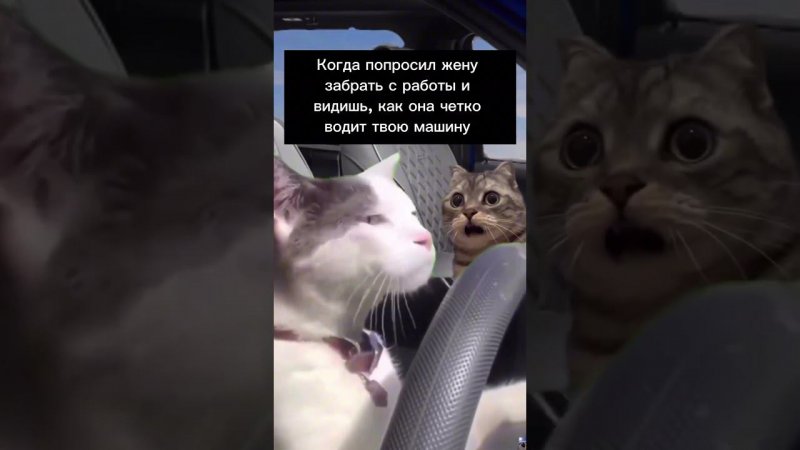 Было?