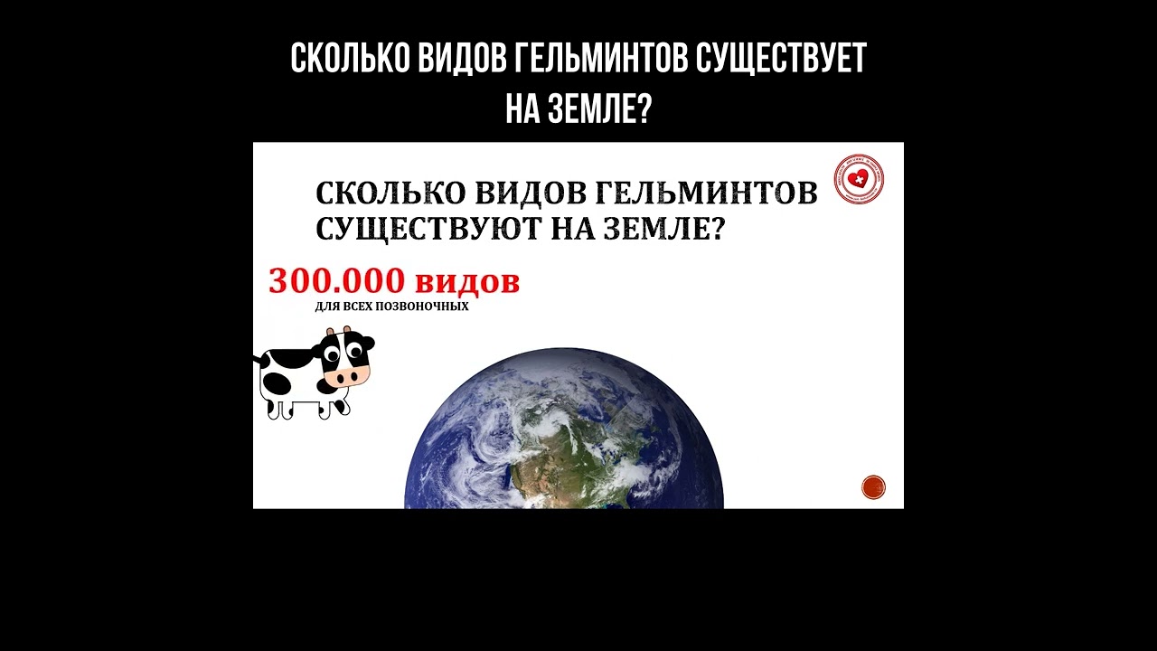 Сколько видов глистов существует на Земле? смотреть онлайн