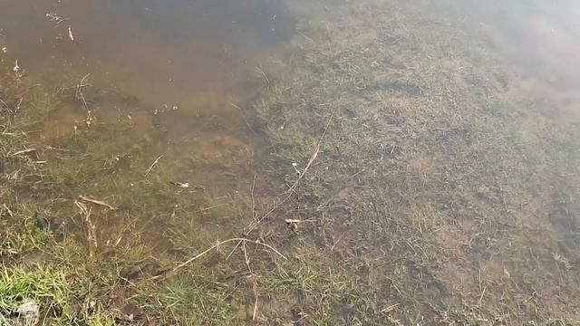 Река Орель вышла из берегов! 13 апреля. #пятница13ое смотреть онлайн