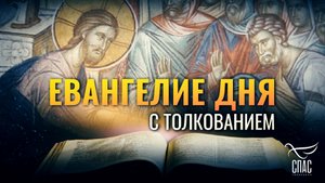 «ОН ИСЦЕЛИЛ МНОГИХ, СТРАДАВШИХ РАЗЛИЧНЫМИ БОЛЕЗНЯМИ» / ЕВАНГЕЛИЕ ДНЯ