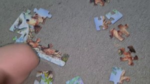 Медведь на рыбалке