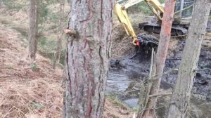 Расчистка лесной канавы экскаватором