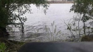 Дистанционное управление лодочным мотором своими руками.