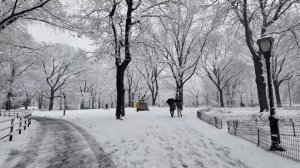 NYC Snow Walk 2024 - Heavy Snowfall in New York City 4K NYC Snowfall in Central Park NYC Snowstorm