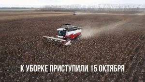 Уборка подсолнечника комбайнами Акрос