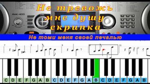Не Тревожь Мне Душу Скрипка (cover) Piano Табы