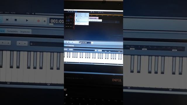 Music Maker Crashes Randomly