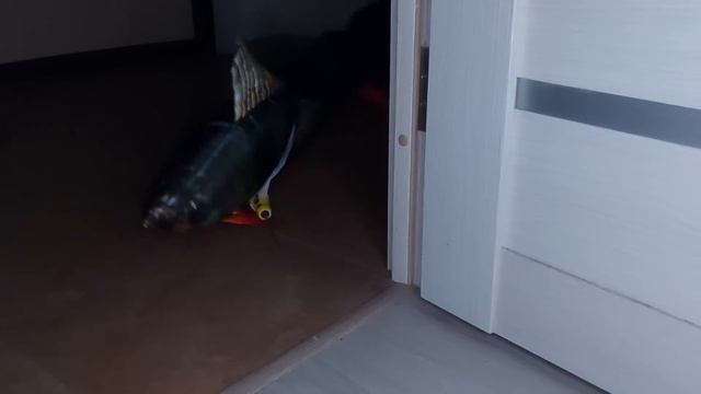 СМЕРТЕЛЬНАЯ ЯПОНСКАЯ ИГРА смотреть онлайн