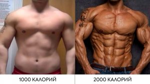 ДЕФИЦИТ КАЛОРИЙ / КАК ? ЗАЧЕМ И КАКИЕ ПОСЛЕДСТВИЯ ?