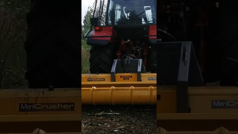 Удаление пней Беларус с фрезой #фермер #tractor #удалениепней #shorts #agriculture