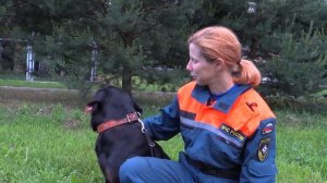 День кинолога МЧС России