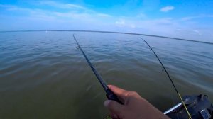 ПОИСКИ СУДАКА НА НОВОМ МЕСТЕ | Рыбалка на Оби 2021